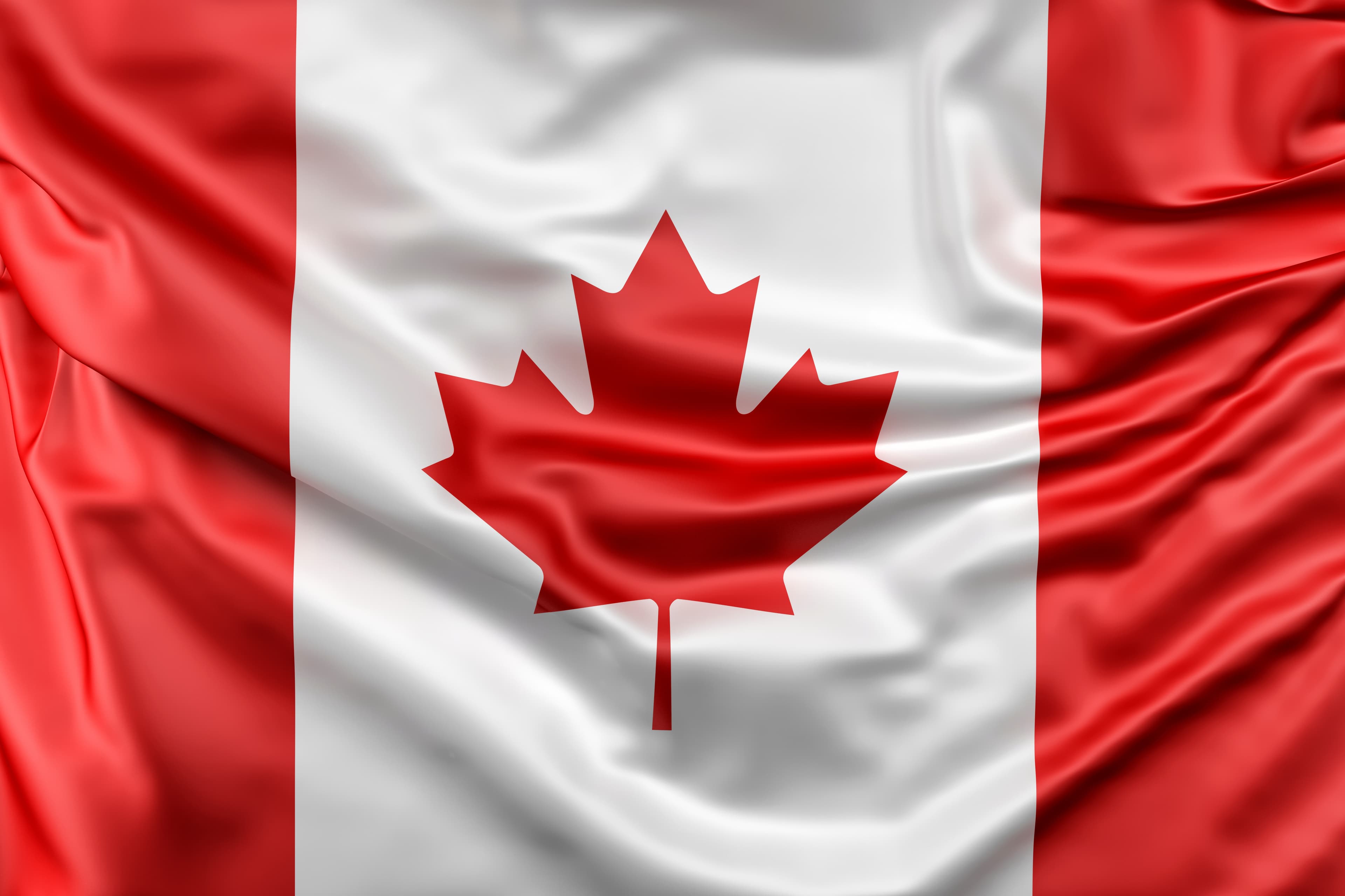 Visa Applications & Super Visa